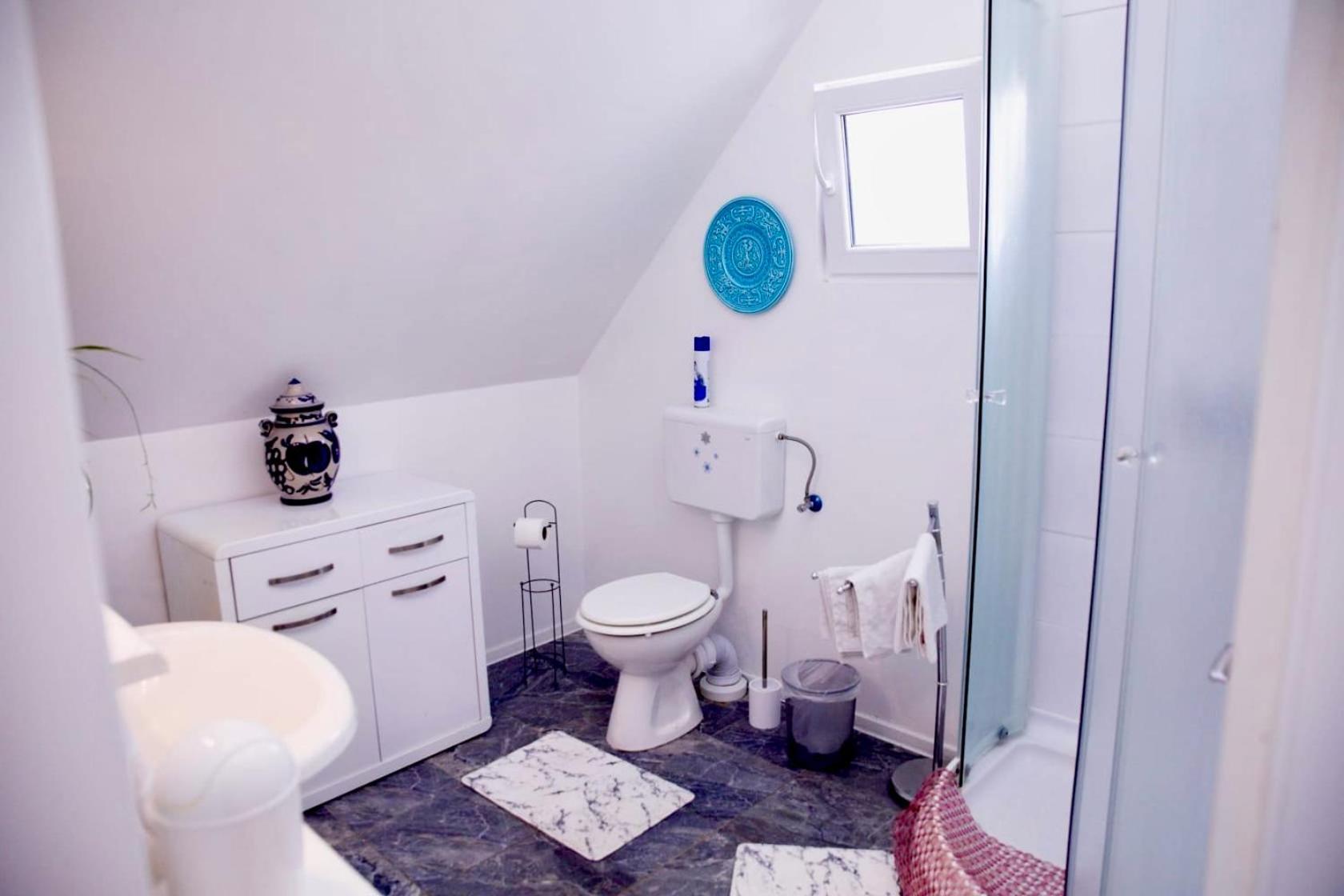 Holiday House Apartments Dajcic Varazdinske Toplice Esterno foto